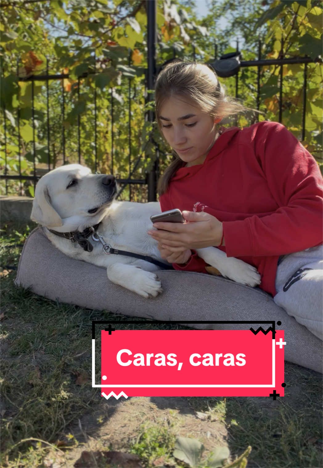 @Larisa🐾Taison