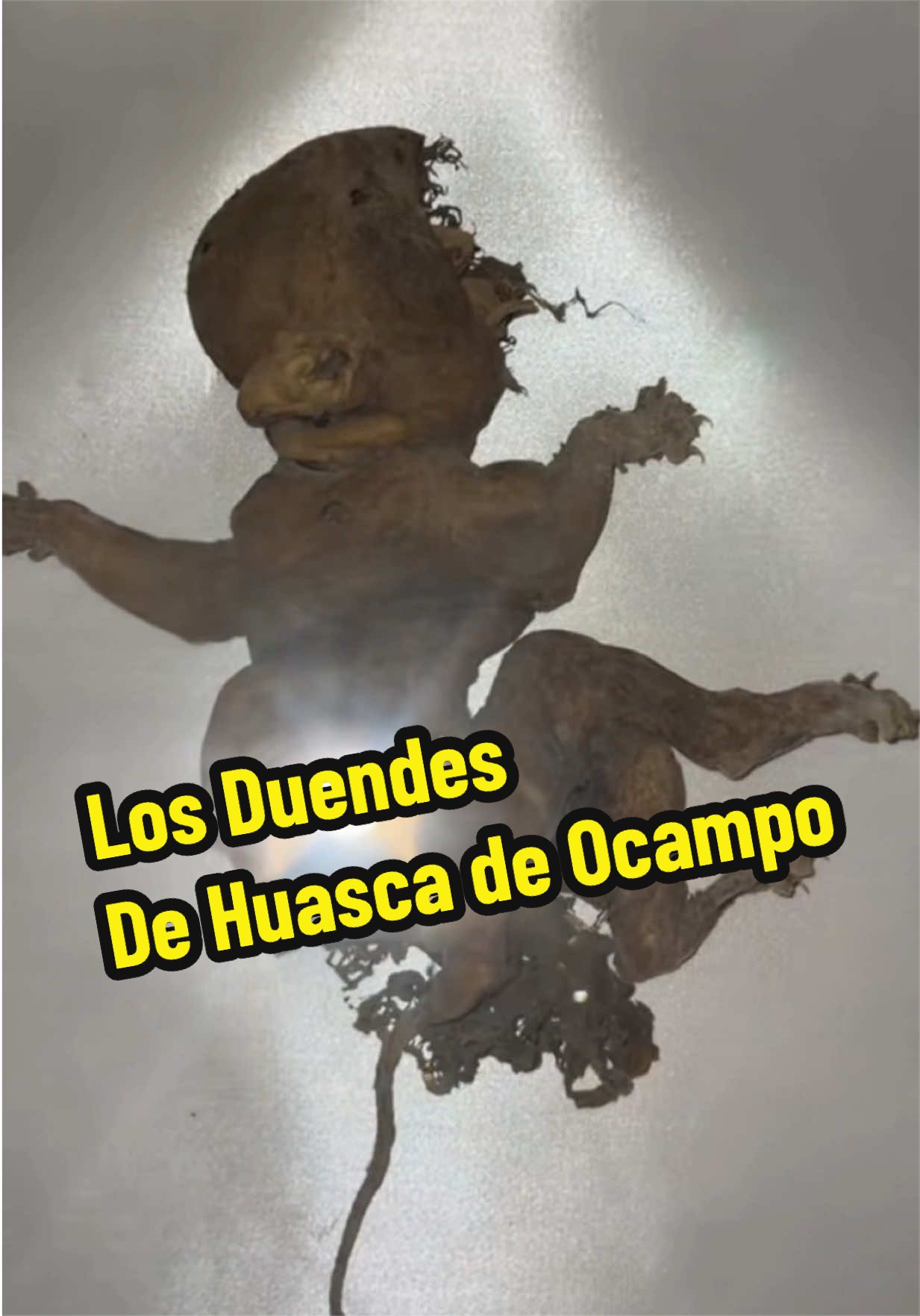 @Camila Ixchel