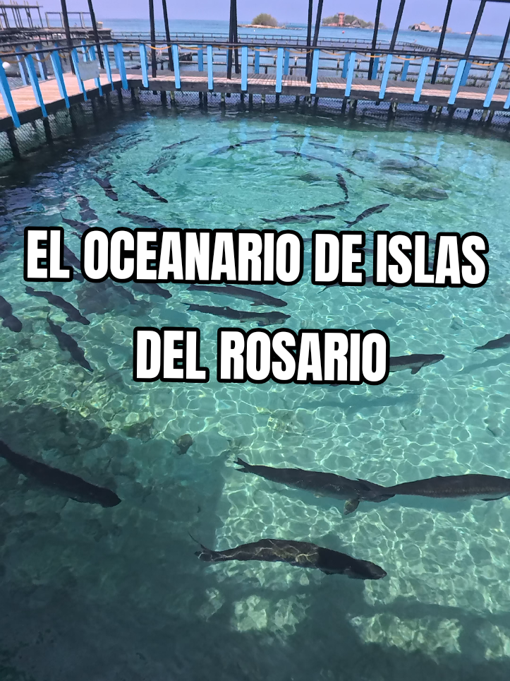 @Julio Chavarr&iacute;a
