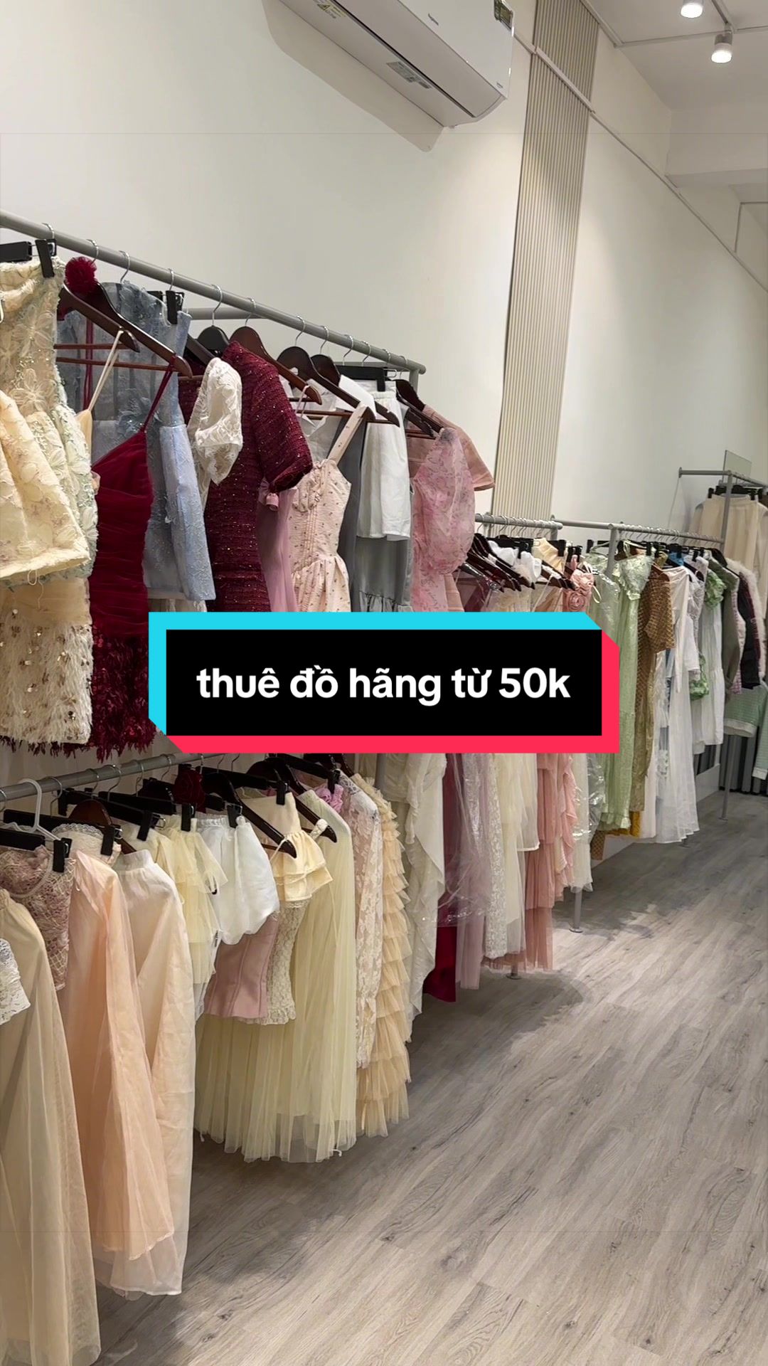 @Mi Trần 🐰