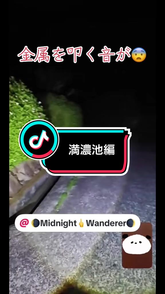 @そら。まめ。👻⛩✨🦁🏴☠️