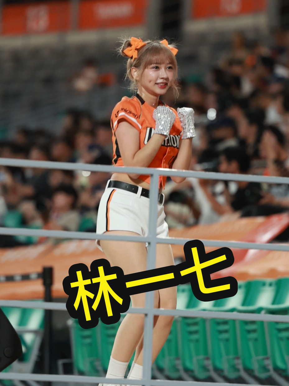 @海豚于翔