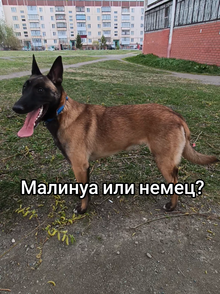 @⚡Кита from авито⚡