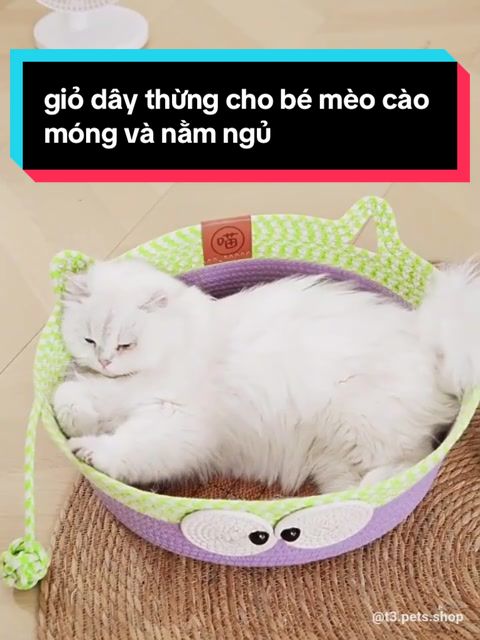 @P&iacute;c đ&acirc;y 💜💜