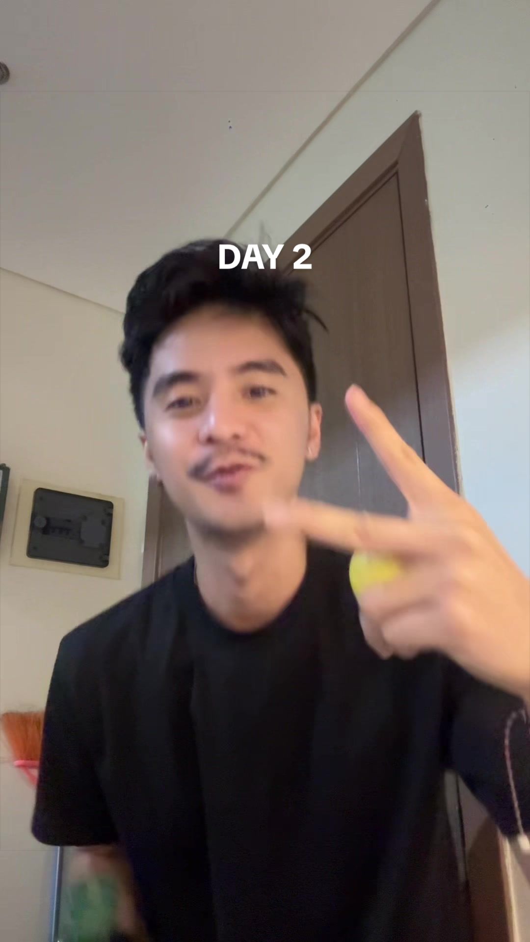 @therealverdy
