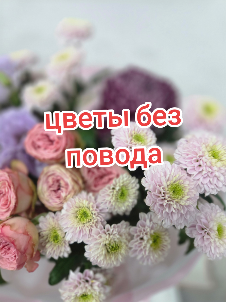 @Снежана