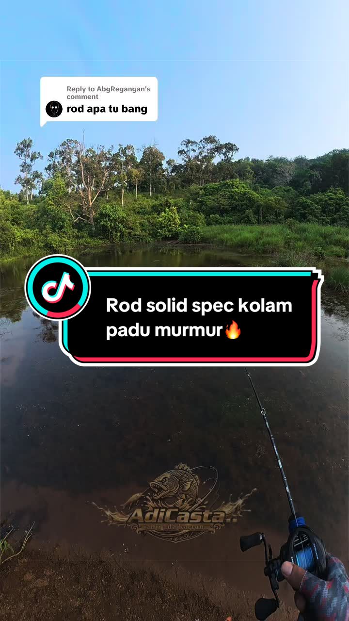 @adicasta1st