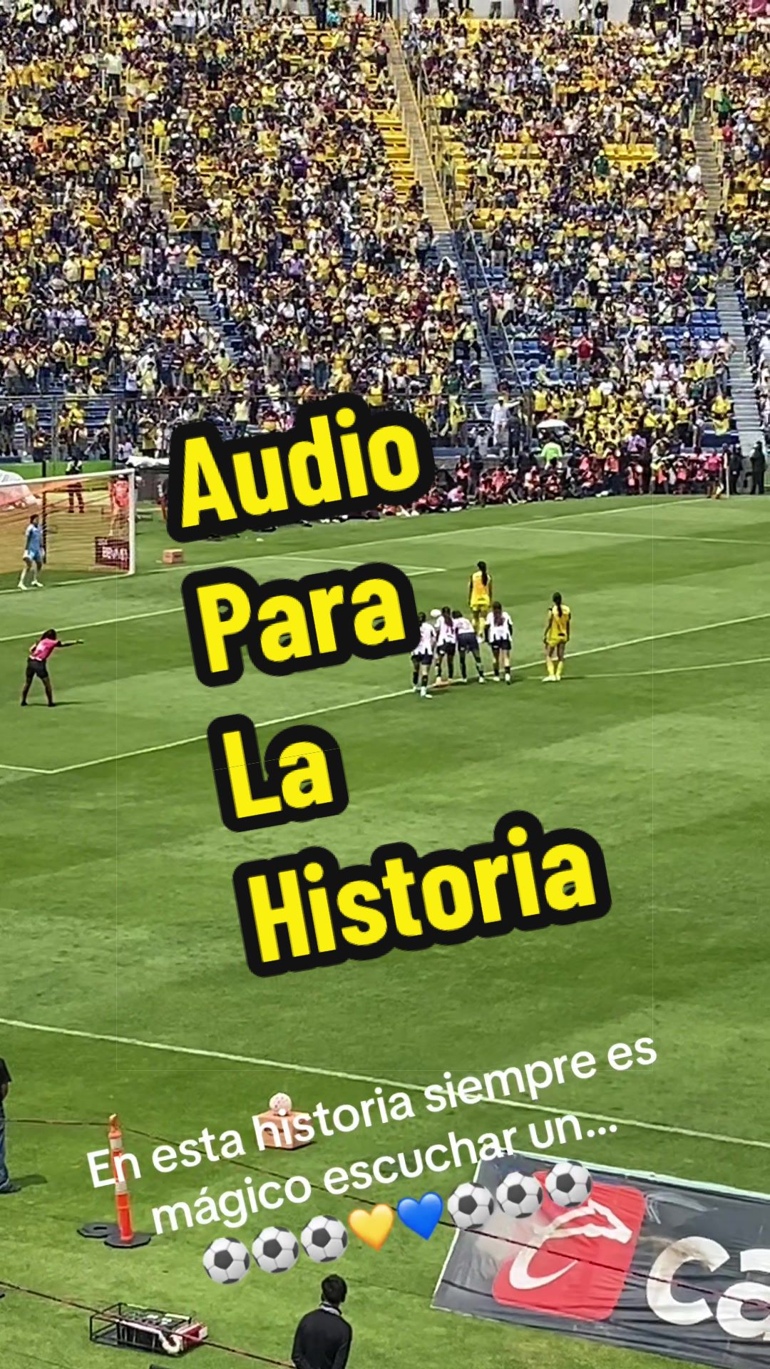 @vivetuhistoria