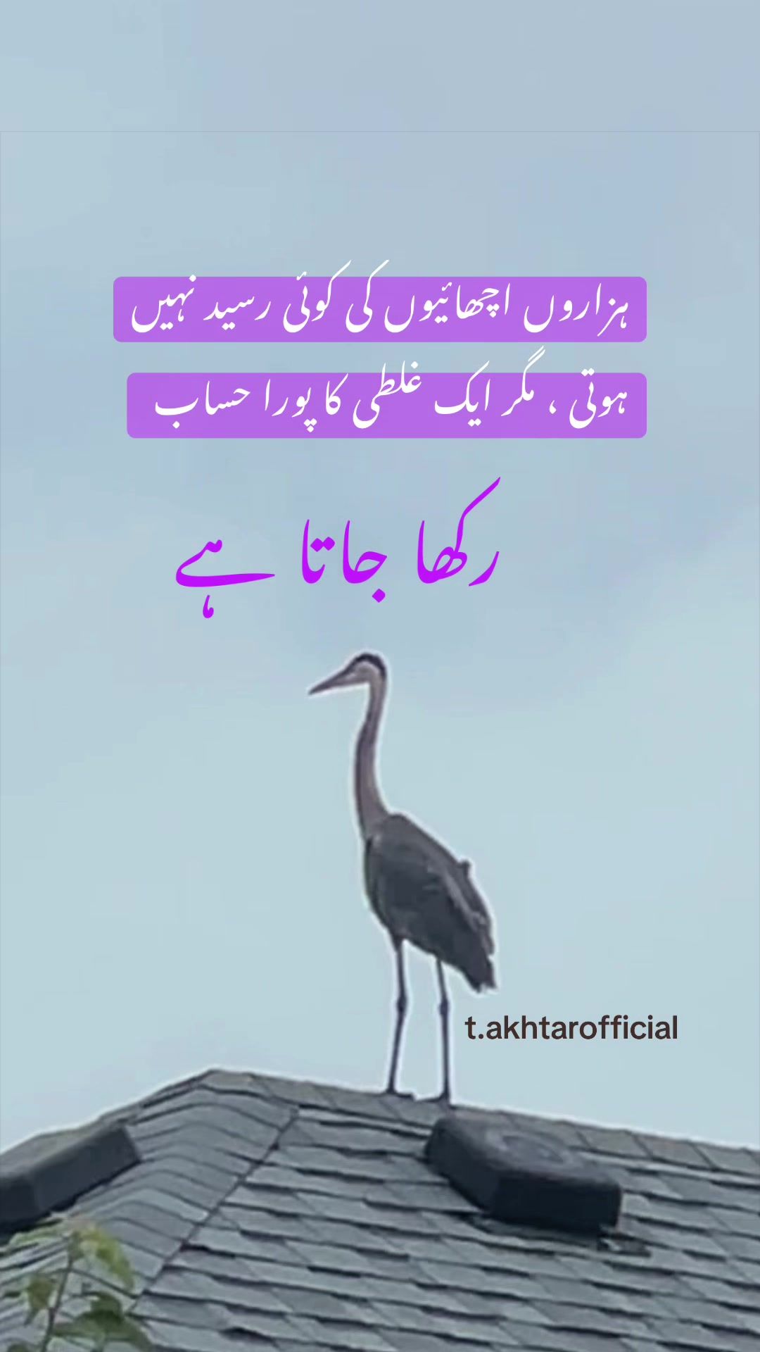 @T.Akhtar Official