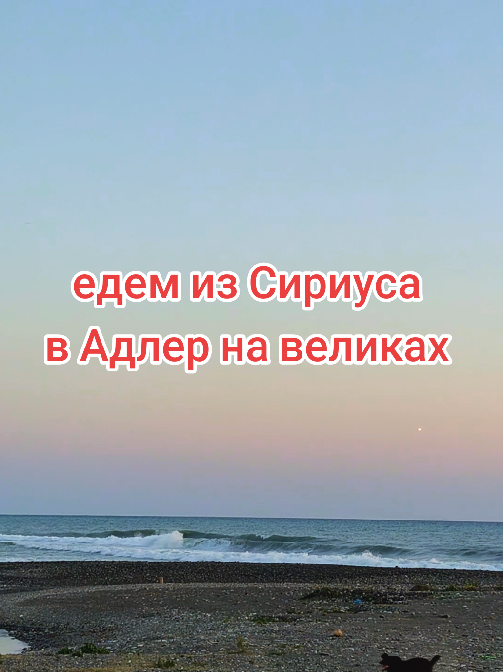 @Елена Костина