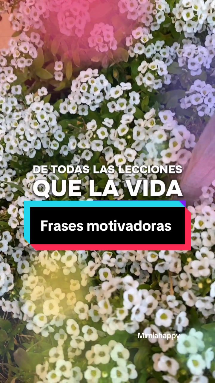 @Mimi