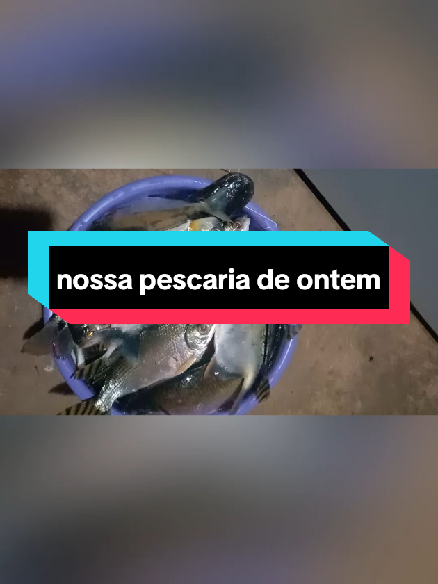 @menina do interior