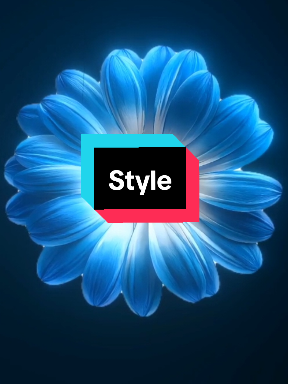 @𝗘𝗶𝘇𝗲𝗻𝗹𝘆𝗿𝗶𝗰𝘀 ☀︎