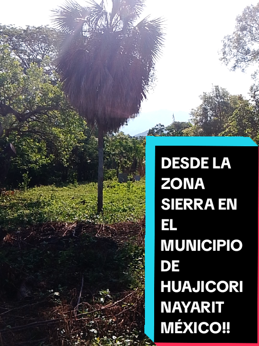 @Eliseo López
