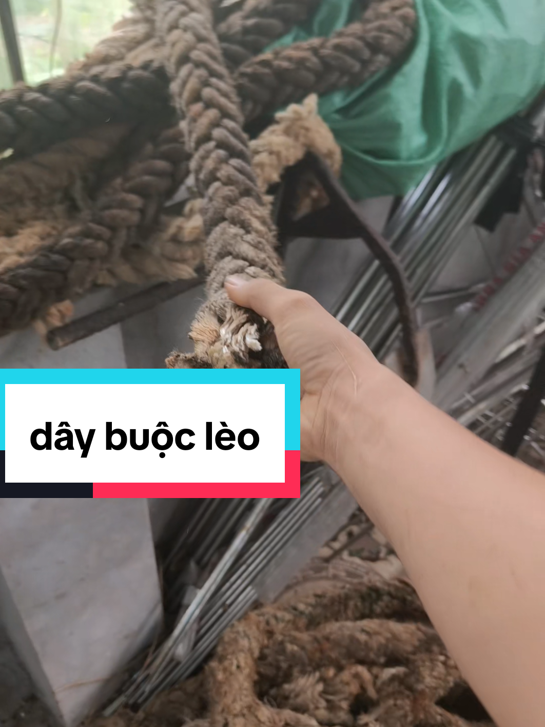 @Sáo Diều Huân Nguyễn