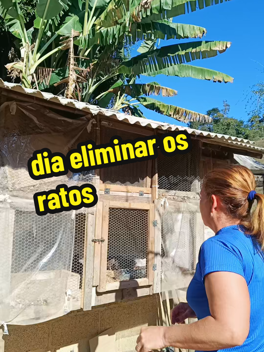 @Elaine Fernandes