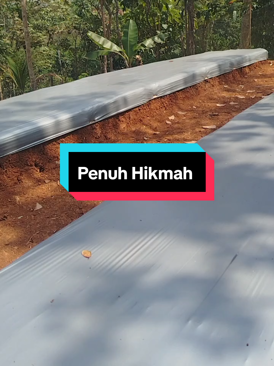 @SenimanPertanianCikancahTV