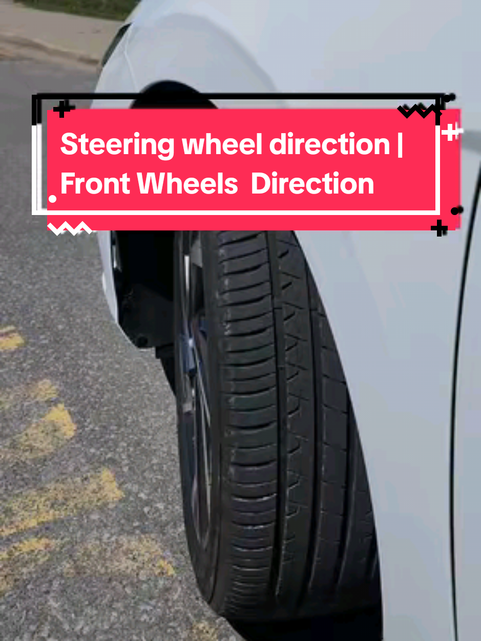 @Growing Star Driving School
