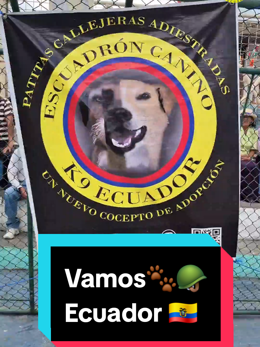 @𝕀ℕ𝕊𝕋ℝ𝕌ℂ𝕋𝕆ℝ 𝕂𝟡 𝔼.ℂ