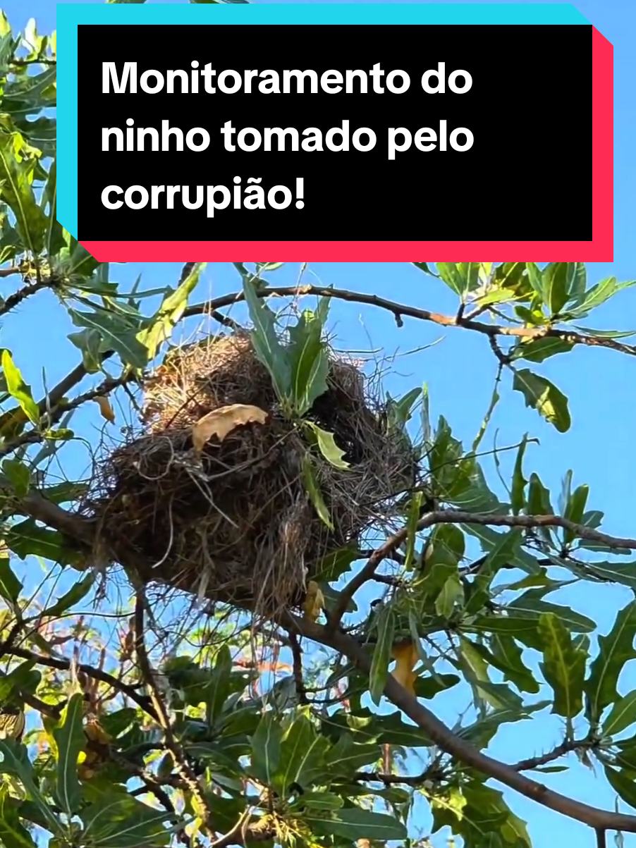 @Princesa das Serpentes