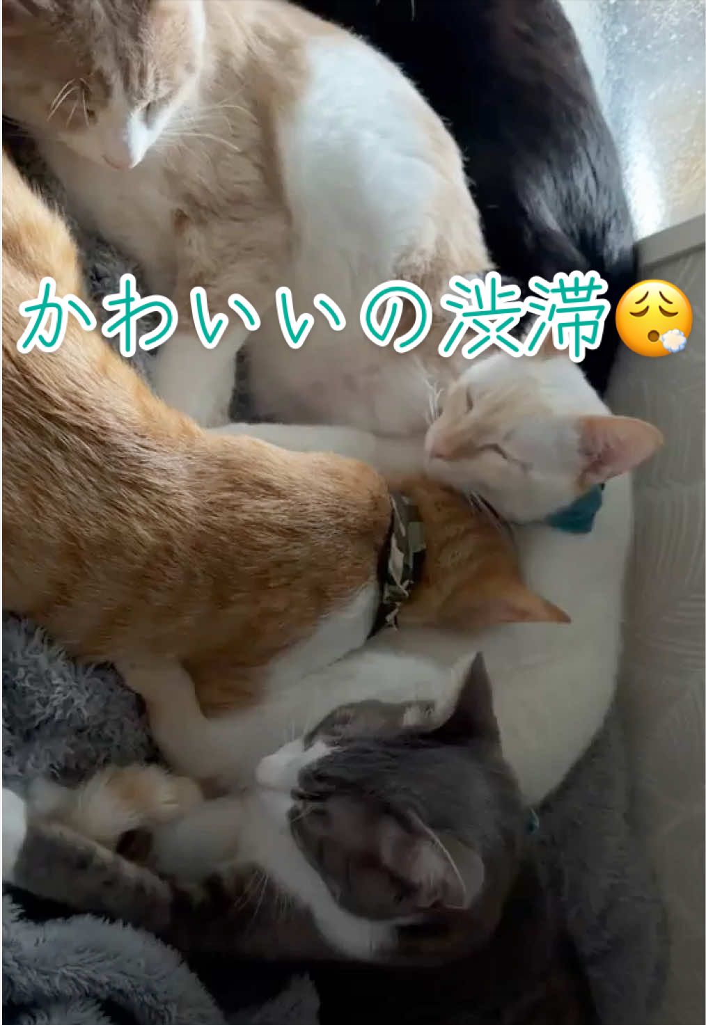 @はっぴー野郎☺︎