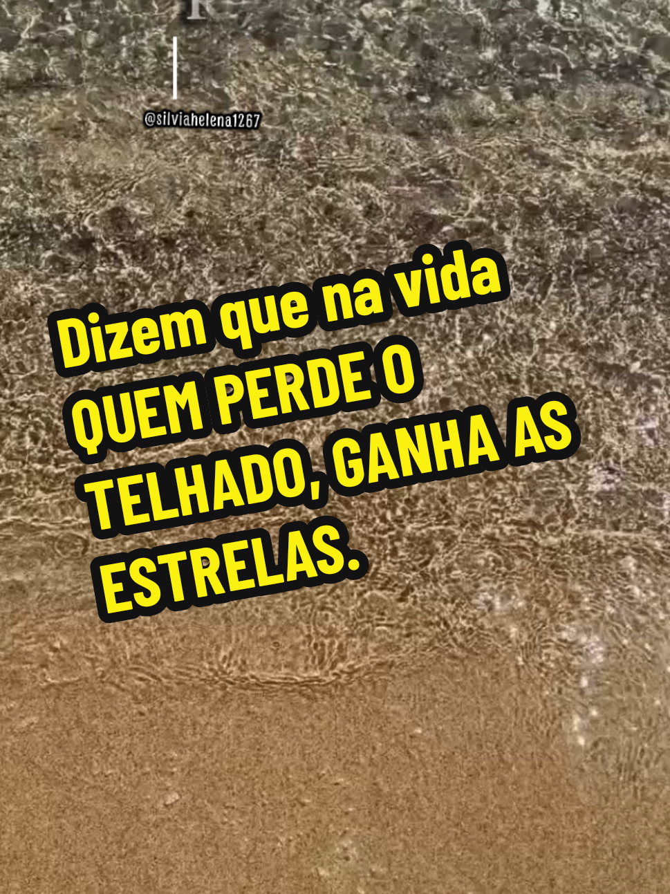 @Silvia Helena.