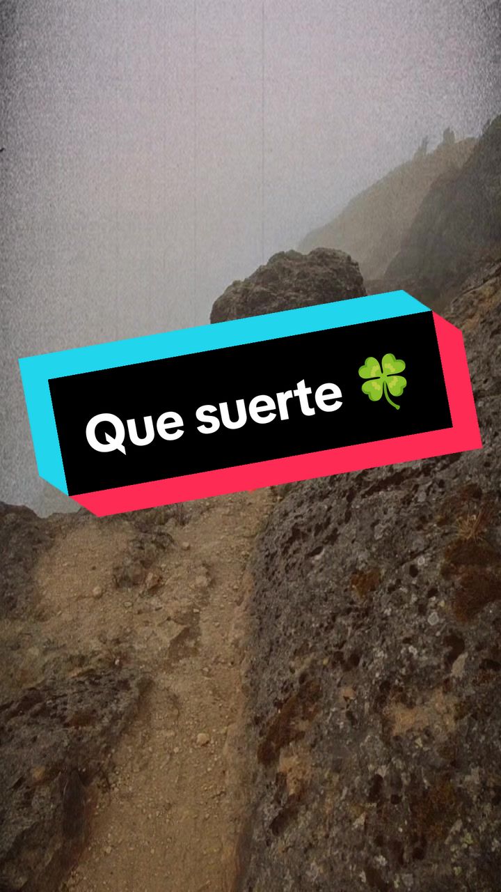 @marc