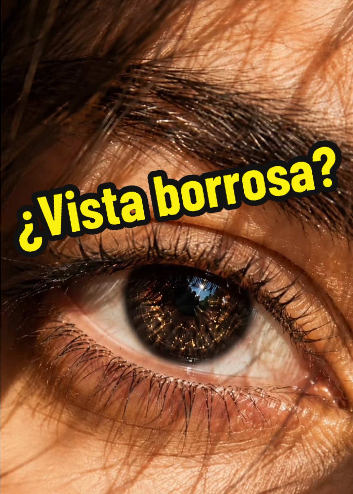 @Melissa Tejeida