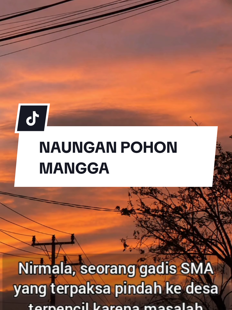 @ruanganime