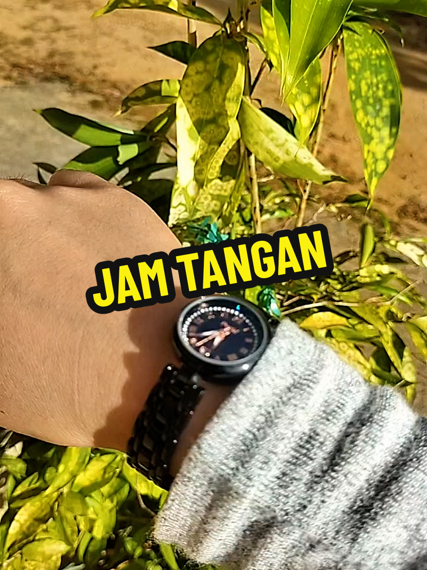 @Syaa daa