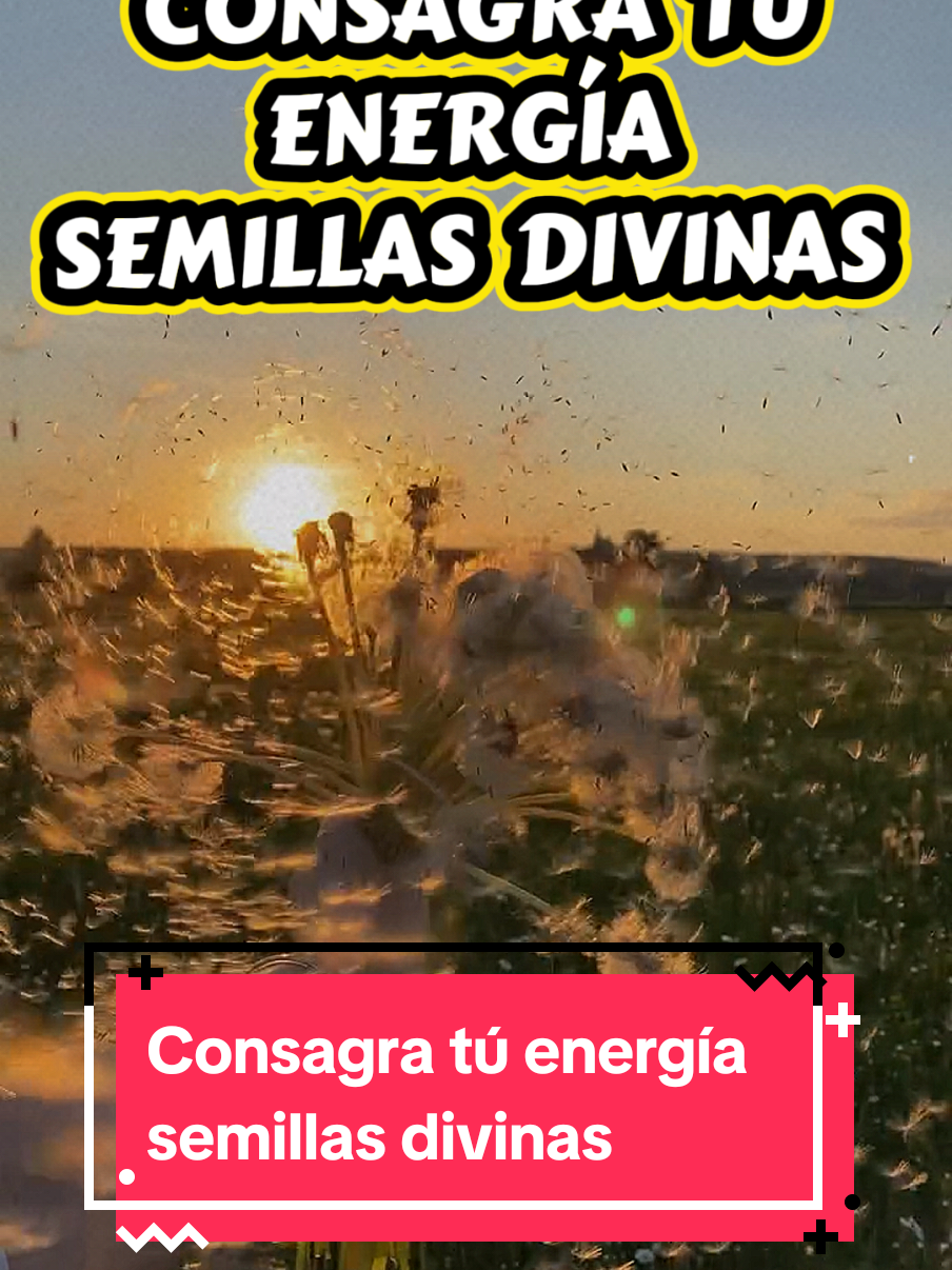 @Mi sendero ✨️
