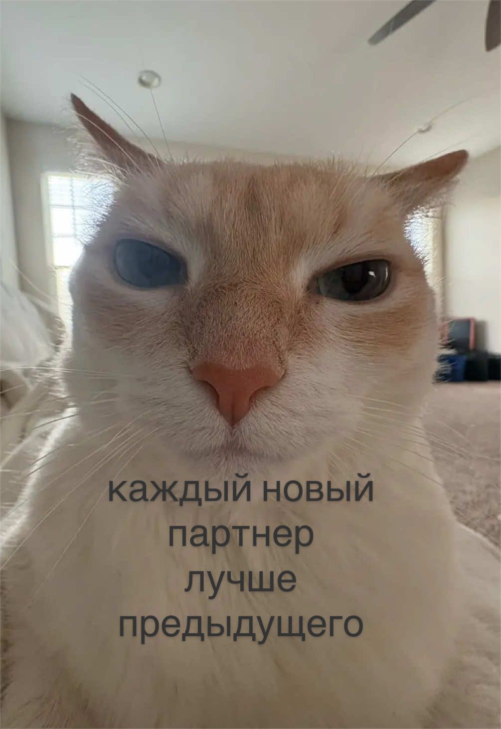 @мамин хep