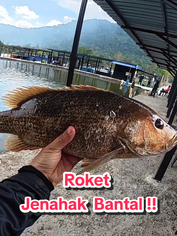 @Paan Pacak