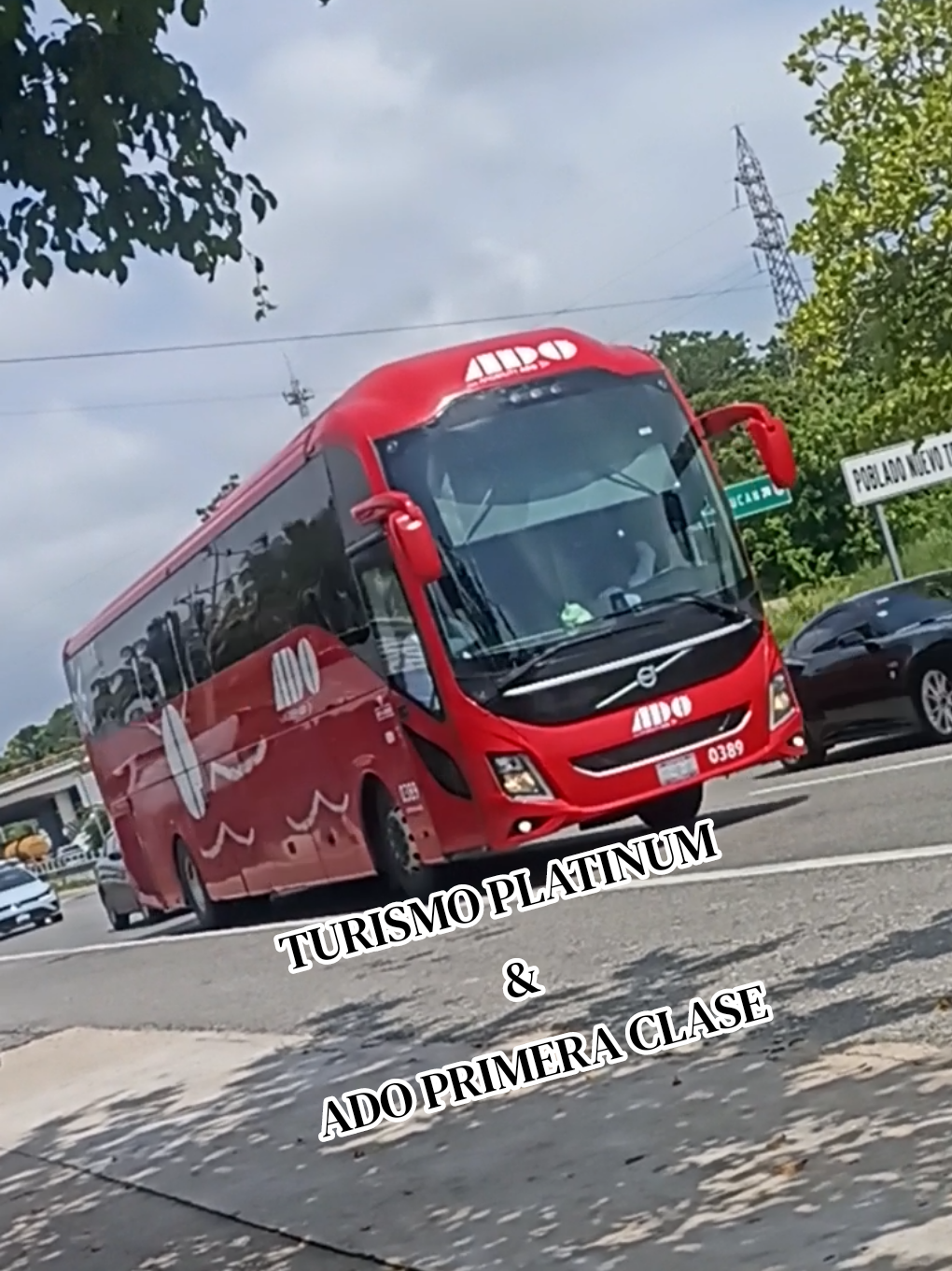 @Busologia Veracruzana 🍀🚍