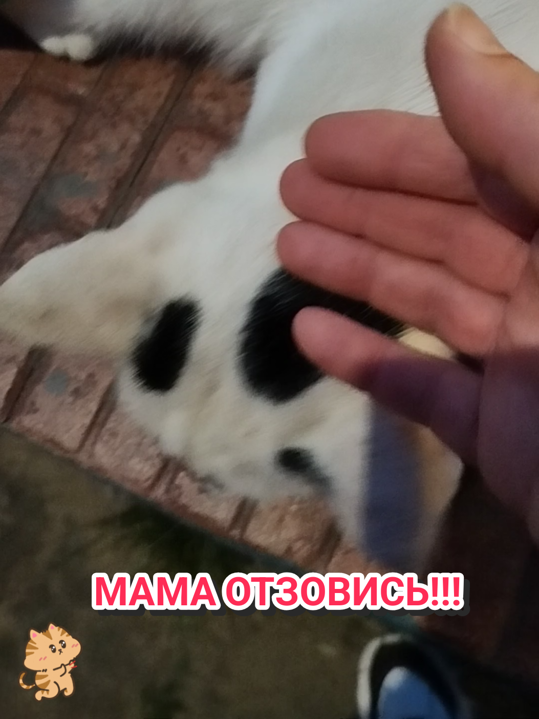 @IRINA