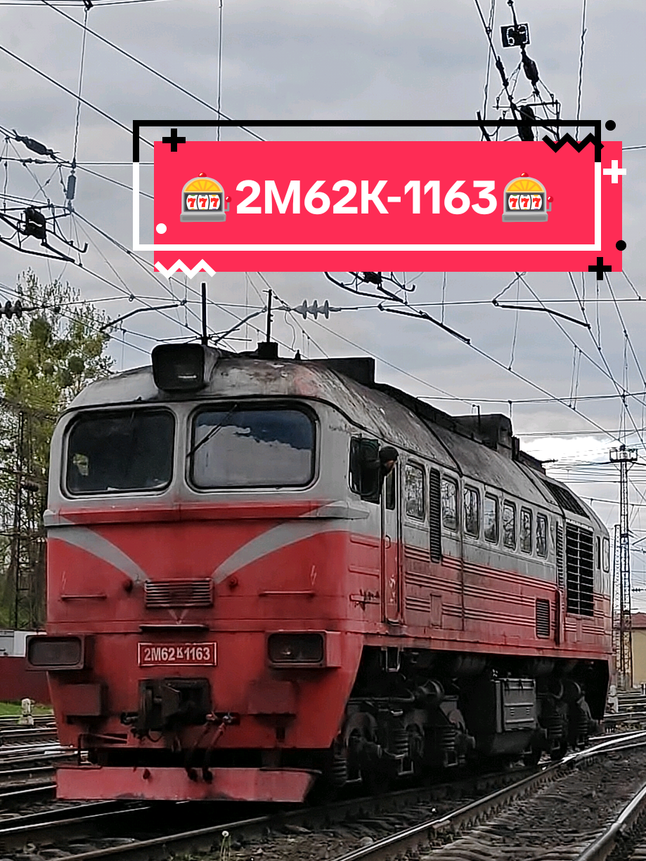 @🪶Soyka_Spoter2🪽