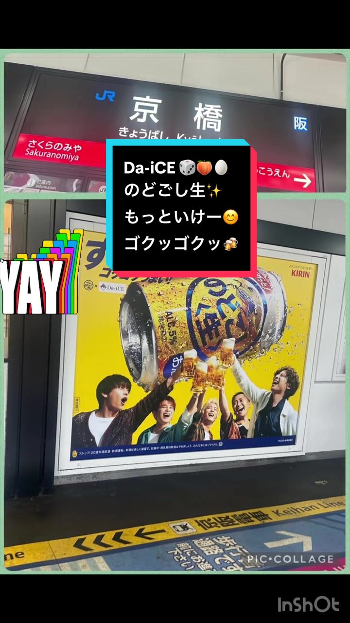 @ぎょぴよ🎲🧡