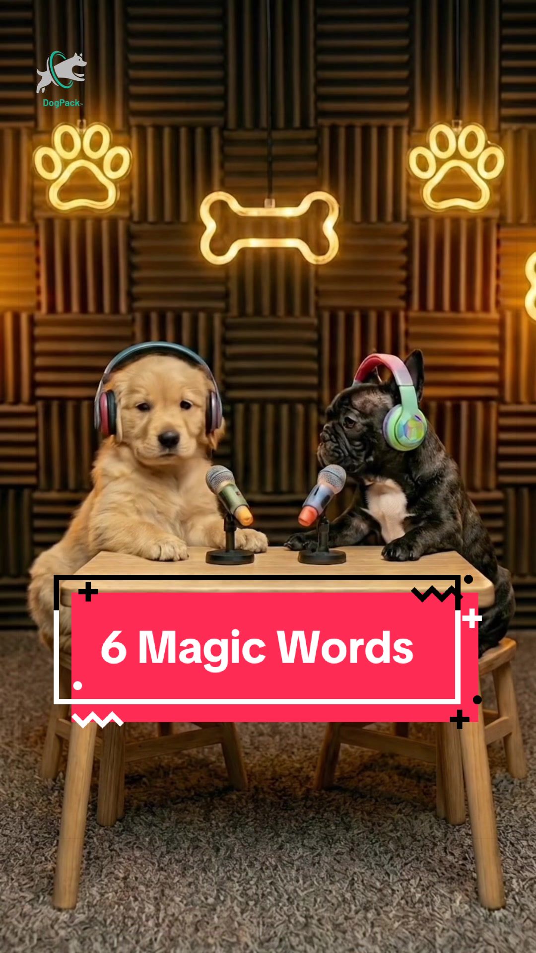@DogPack