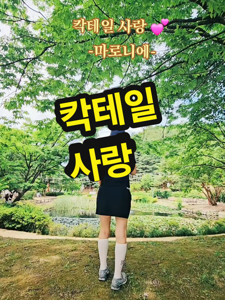 @틱톡왕비