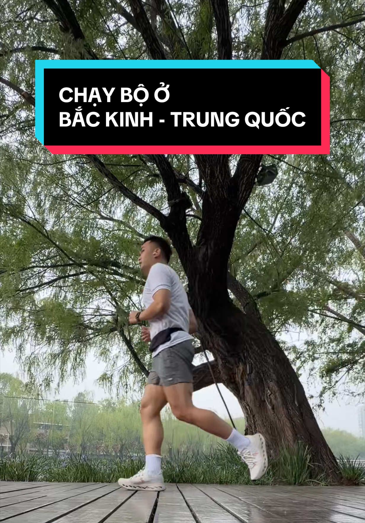 @Tui Sập n&egrave; !