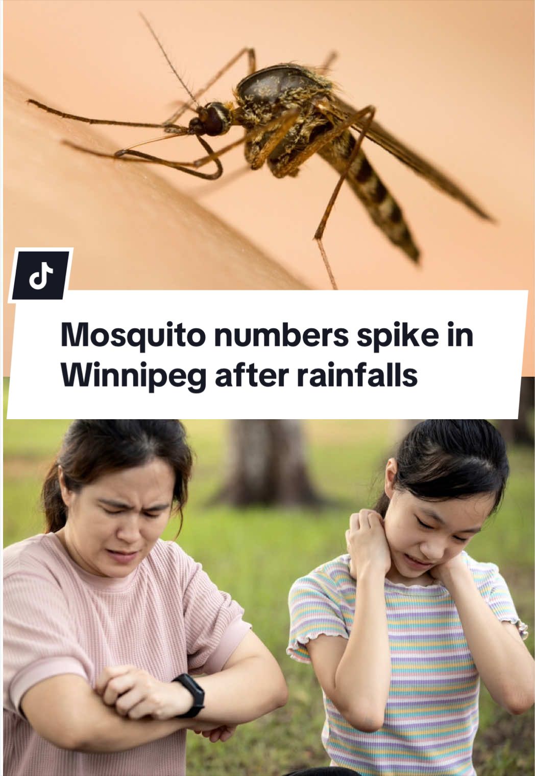 @CBC Manitoba