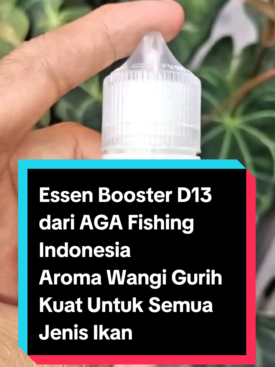 @Angsana.Fishingshop