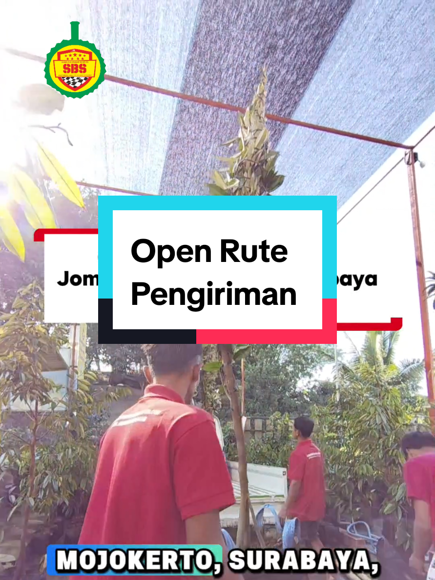 @Produksi Buah_SBS