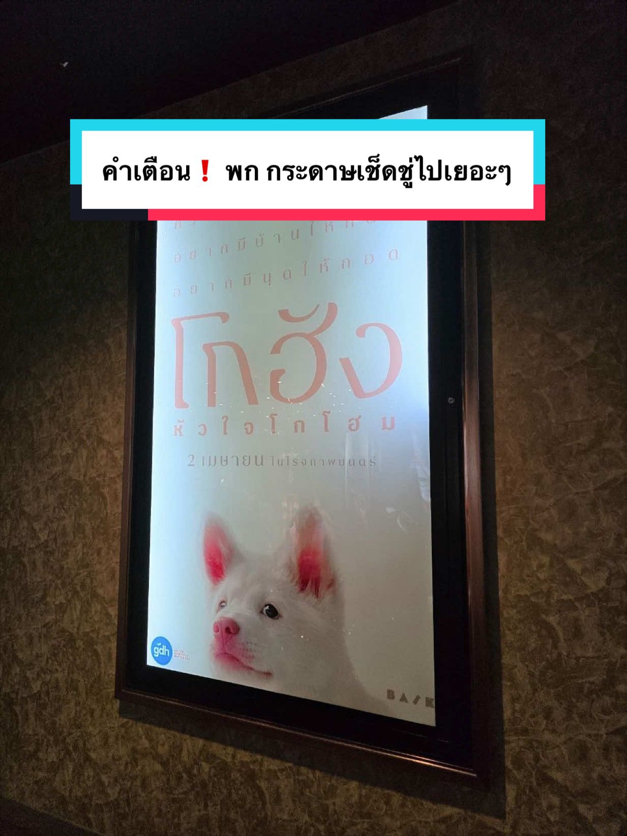 @Nitchawi95