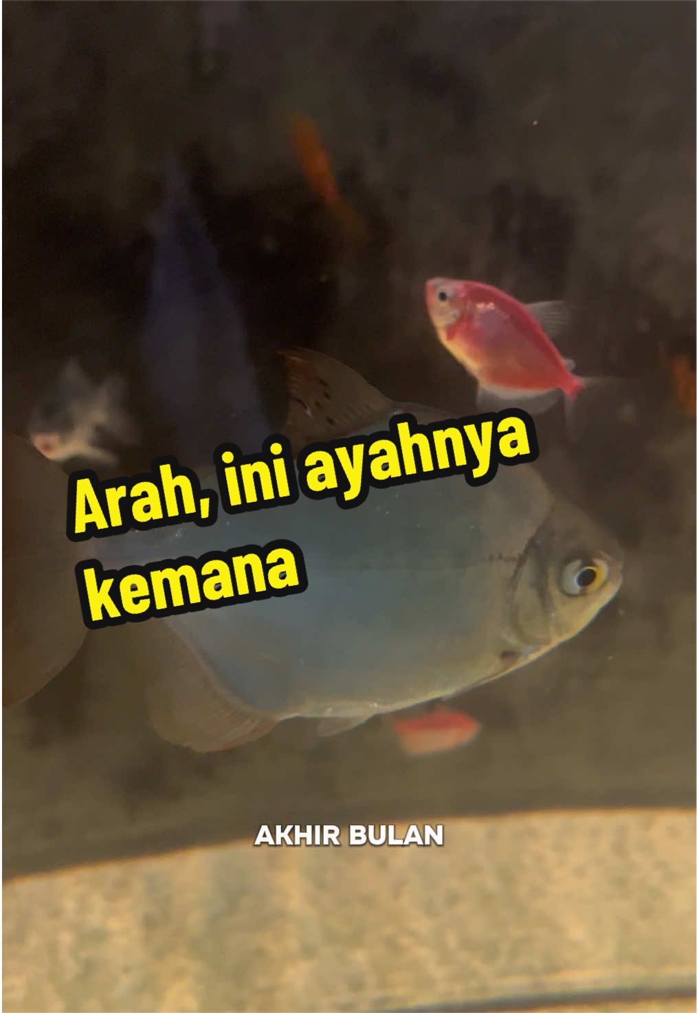 @Mari Tika Makan