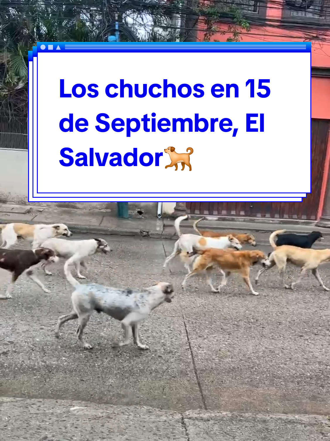 @El Gus 🇸🇻