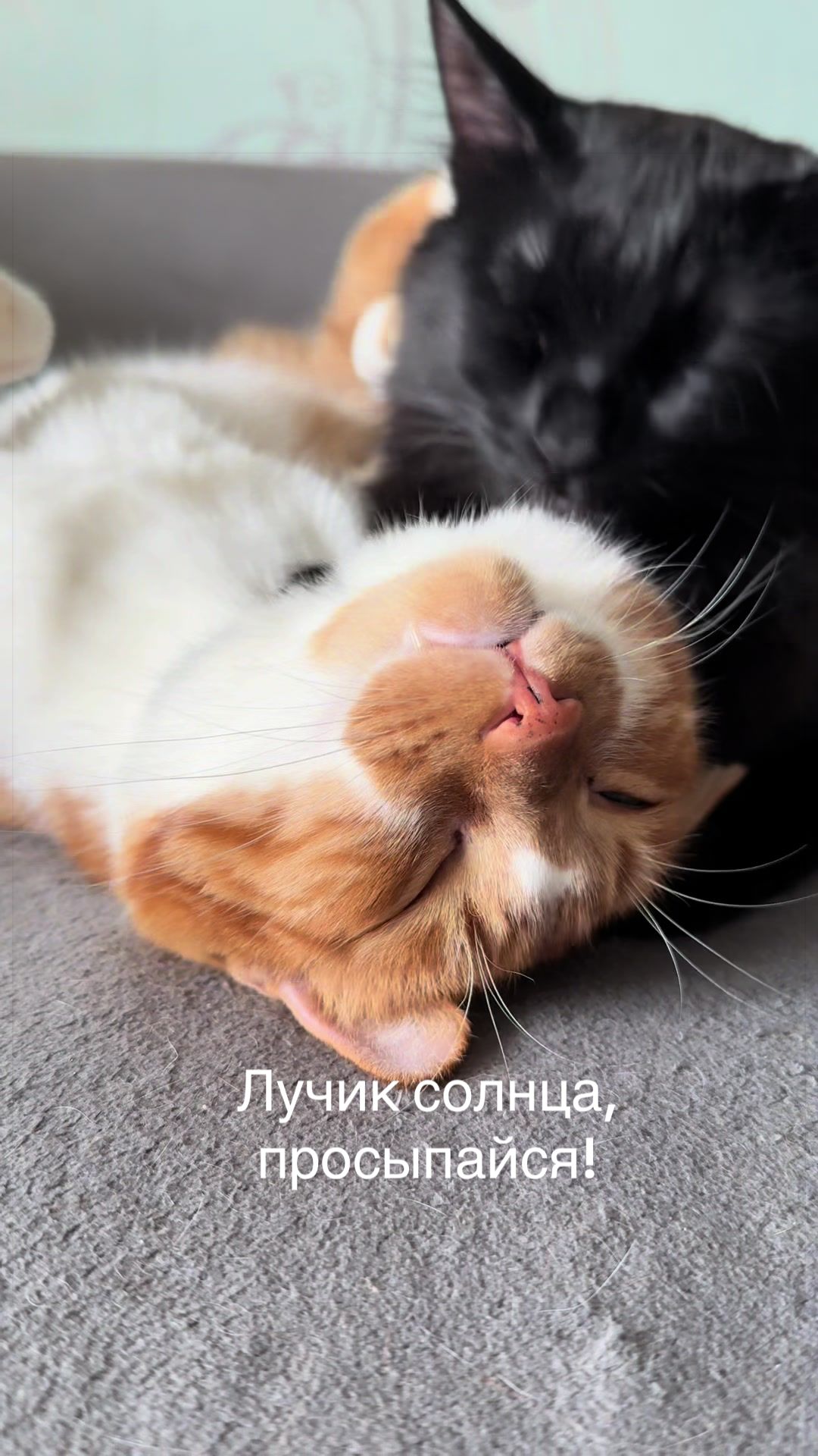 @Людмила Якушкина