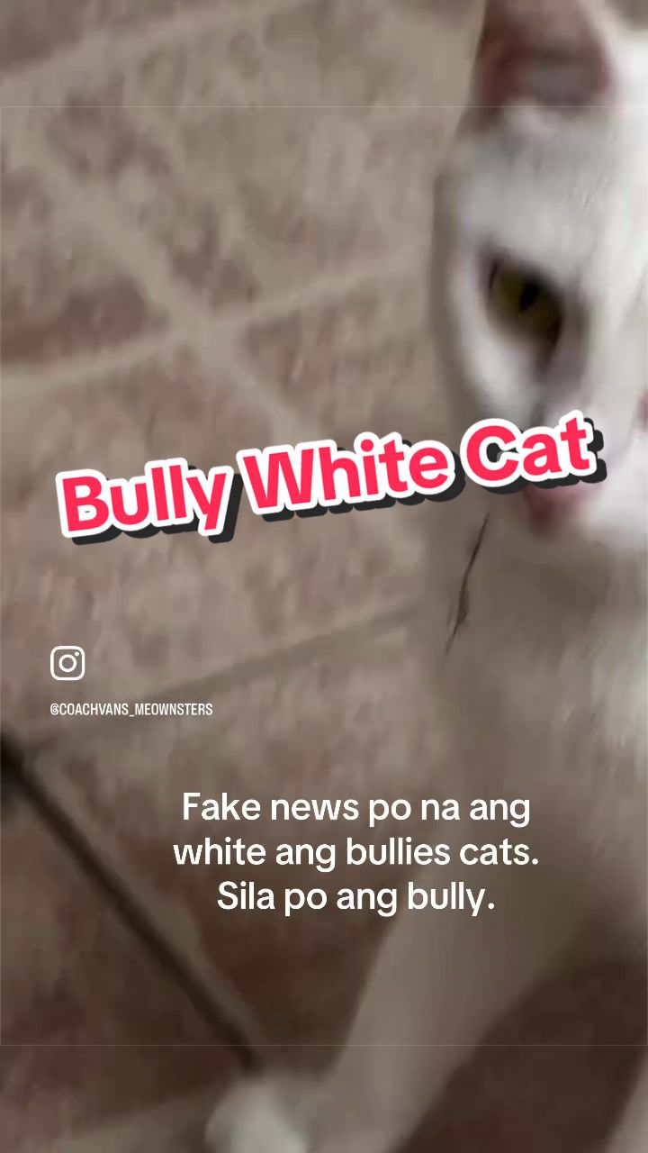 @COACH Vanessa | PINAYTRI on YT