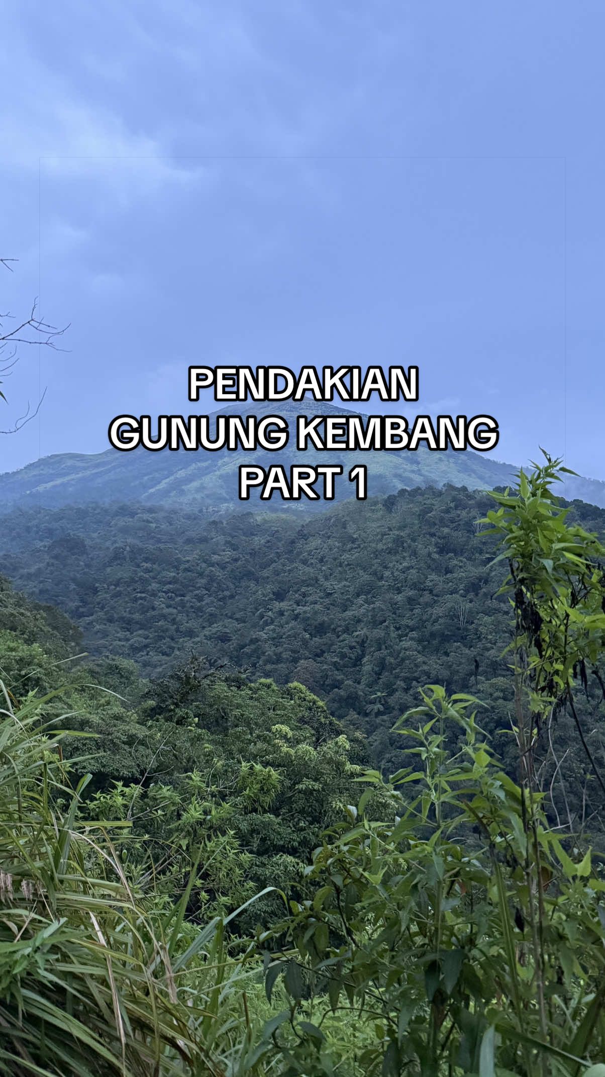 @Dwiriyantoo