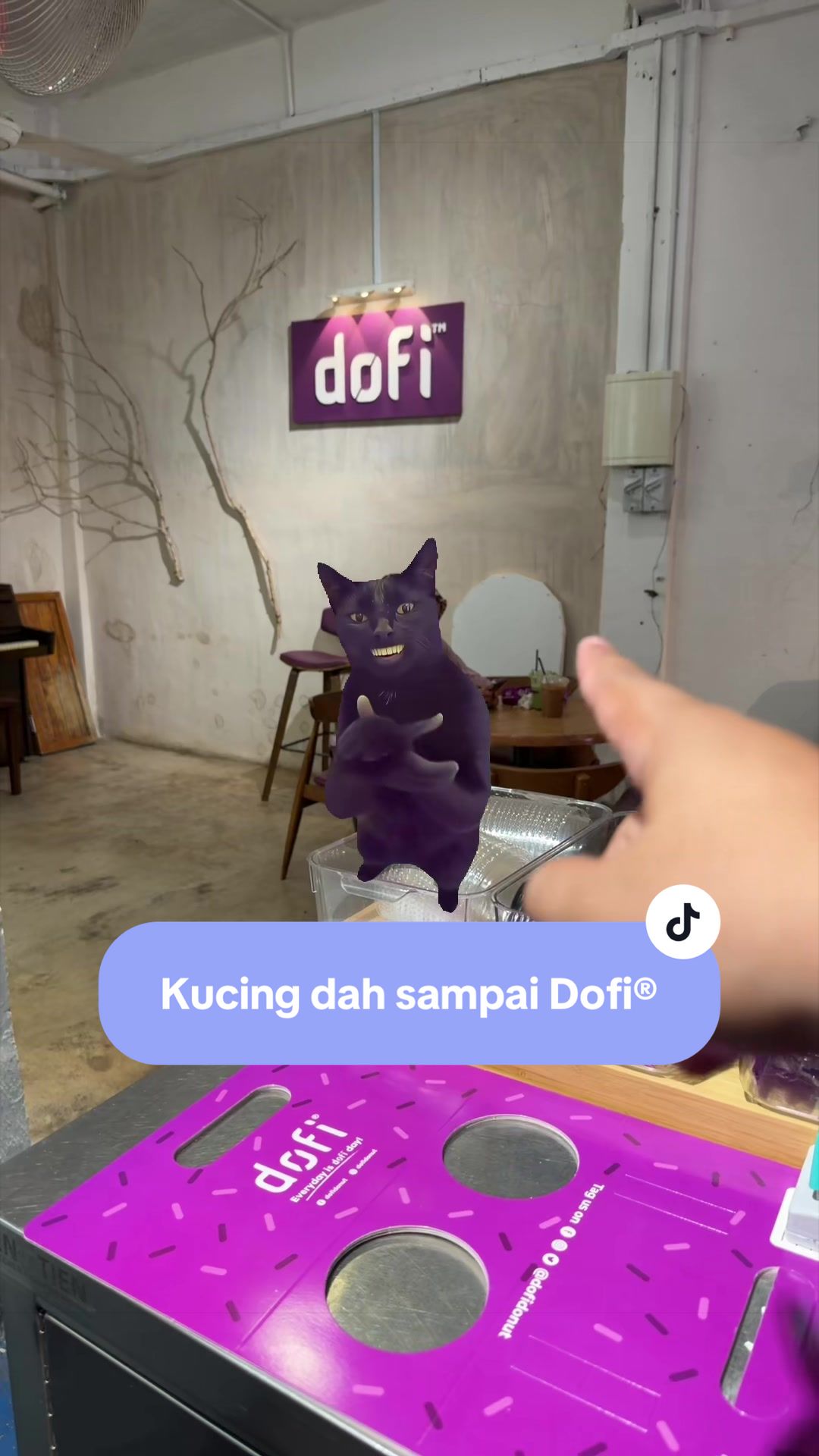 @dofidonut